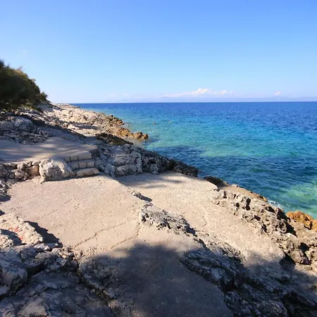 Seaside With A Swimming Pool Prigradica, Korcula - 9290 Lejlighed Prigradica