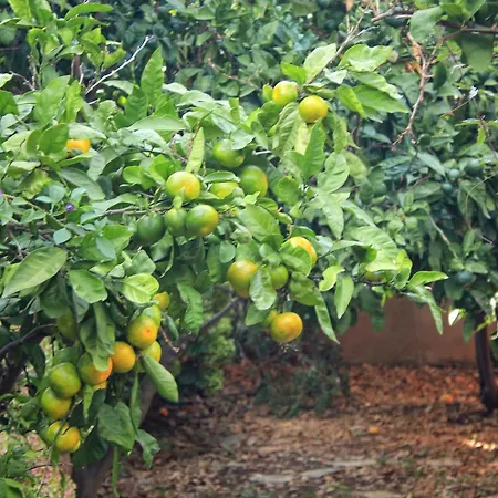 Apartman Seaside With A Swimming Pool Prigradica, Korcula - 9290 Prigradica