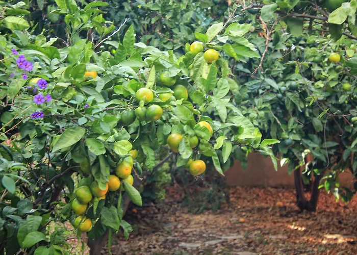 公寓 Seaside With A Swimming Pool Prigradica, Korcula - 9290 普利格拉迪卡